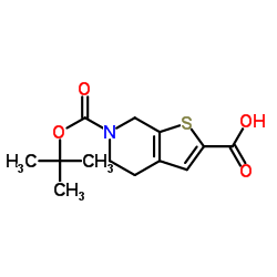 6-(TERT-BUTOXYCARBONYL)-4,5,6,7-TETRAHYDROTHIENO[2,3-C]PYRIDINE-2-CARBOXYLIC ACID picture