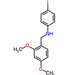 ((2,4-DIMETHOXYPHENYL)METHYL)(4-IODOPHENYL)AMINE结构式