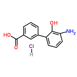 3'-氨基-2'-羟基-[1,1'-联苯]-3-甲酸盐酸盐结构式