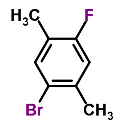 1-Bromo-4-fluoro-2,5-dimethylbenzene picture