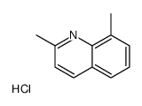 2,8-dimethylquinoline,hydrochloride结构式