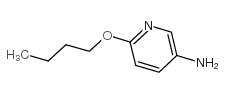 3-Pyridinamine,6-butoxy- picture