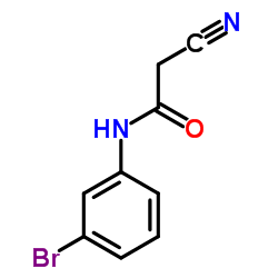 N-(3-Bromophenyl)-2-cyanoacetamide结构式