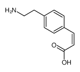 3-[4-(2-aminoethyl)phenyl]prop-2-enoic acid Structure