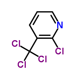 2-Chloro-3-(trichloromethyl)pyridine picture