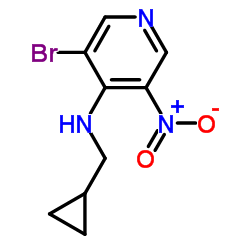 (3-Bromo-5-nitro-pyridin-4-yl)-cyclopropylmethyl-amine structure