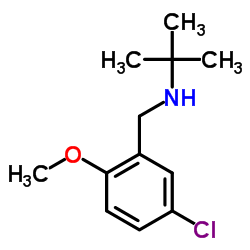 N-(5-Chloro-2-methoxybenzyl)-2-methyl-2-propanamine结构式