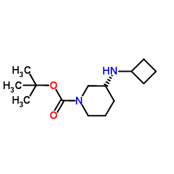 1-BOC-3-CYCLOBUTYLAMINO-PIPERIDINE structure