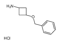 3-phenylmethoxycyclobutan-1-amine,hydrochloride Structure