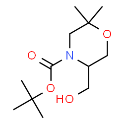 5-(羟甲基)-2,2-二甲基吗啉-4-羧酸叔丁酯结构式