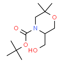 tert-butyl 5-(hydroxymethyl)-2,2-dimethylmorpholine-4-carboxylate picture