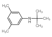 n-tert-butyl-3,5-dimethylaniline Structure