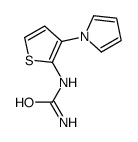 (3-pyrrol-1-ylthiophen-2-yl)urea Structure