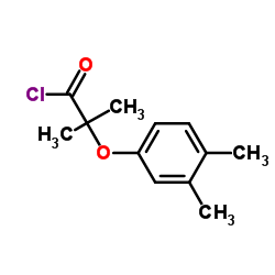 2-(3,4-Dimethylphenoxy)-2-methylpropanoyl chloride Structure