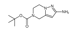 2-氨基-6,7-二氢吡唑并[1,5-a]吡嗪-5(4H)-羧酸叔丁酯图片