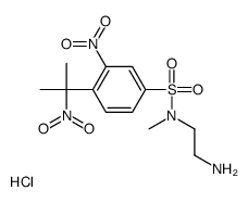 N-(2-aminoethyl)-N-methyl-3-nitro-4-(1-methyl-1-nitroethyl)benzenesulfonamide picture