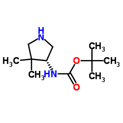 Carbamic acid, [(3R)-4,4-dimethyl-3-pyrrolidinyl]-, 1,1-dimethylethyl ester (9CI)结构式