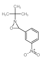 Oxaziridine,2-(1,1-dimethylethyl)-3-(3-nitrophenyl)- structure