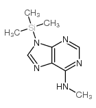 9H-Purin-6-amine, N-methyl-9-(trimethylsilyl)- picture