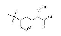 2-Hydroxyimino-2-(5-tert-butyl-2-cyclohexenyl)-essigsaeure Structure