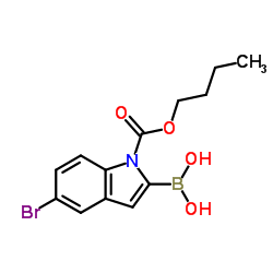 N-Boc-5-溴吲哚-2-硼酸图片