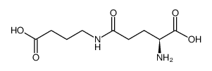 gamma glutamyl GABA图片