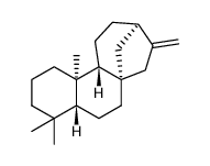 Ent-kaurene picture