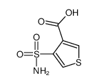 4-sulfamoylthiophene-3-carboxylic acid Structure