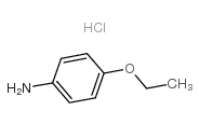 p-phenetidine hydrochloride picture