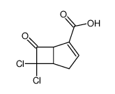 6,6-dichloro-7-oxobicyclo[3.2.0]hept-2-en-2-carboxylic acid结构式