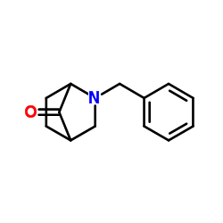 N-BENZYL-2-AZABICYCLO[2.2.1]HEPTAN-7-ONE structure