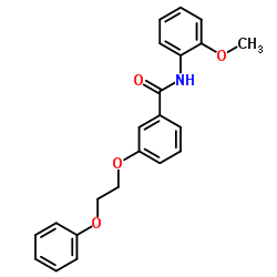 N-(2-Methoxyphenyl)-3-(2-phenoxyethoxy)benzamide Structure