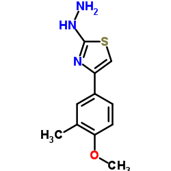 [4-(4-METHOXY-3-METHYL-PHENYL)-THIAZOL-2-YL]-HYDRAZINE结构式