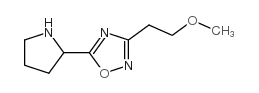 3-(2-甲氧基乙基)-5-吡咯烷-2-基-1,2,4-氧杂二唑结构式