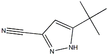 5-(tert-butyl)-1H-pyrazole-3-carbonitrile结构式