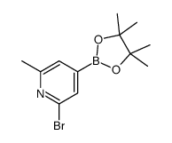2-bromo-6-methyl-4-(4,4,5,5-tetramethyl-1,3,2-dioxaborolan-2-yl)pyridine picture