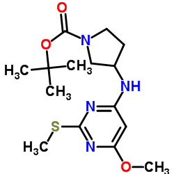 3-(6-Methoxy-2-Methylsulfanyl-pyrimidin-4-ylamino)-pyrrolidine-1-carboxylic acid tert-butyl ester结构式