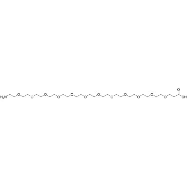 Amino-PEG11-acid Structure