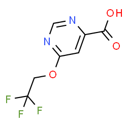 6-(2,2,2-Trifluoroethoxy)pyrimidine-4-carboxylic acid结构式