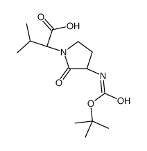 N-BOC-FREIDINGER'S LACTAM Structure