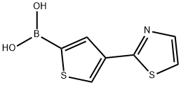 4-(Thiazol-2-yl)thiophene-2-boronic acid结构式