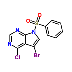 7-苯磺酰基-5-溴-4-氯-7H-吡咯并[2,3-d]嘧啶图片