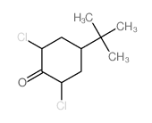 4-tert-butyl-2,6-dichlorocyclohexan-1-one结构式
