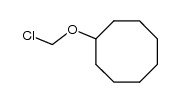 chloromethoxy-cyclooctane结构式