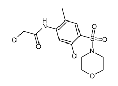 4-[2-chloro-4-(2-chloro-acetylamino)-5-methyl-benzenesulfonyl]-morpholine结构式