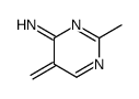 2-methyl-5-methylidenepyrimidin-4-imine Structure