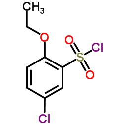 5-Chloro-2-ethoxybenzenesulfonyl chloride图片