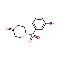 1-[(3-Bromophenyl)sulfonyl]-4-piperidinone图片