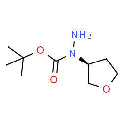 (S)-tert-butyl 1-(tetrahydrofuran-3-yl)hydrazinecarboxylate图片