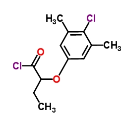 2-(4-Chloro-3,5-dimethylphenoxy)butanoyl chloride Structure